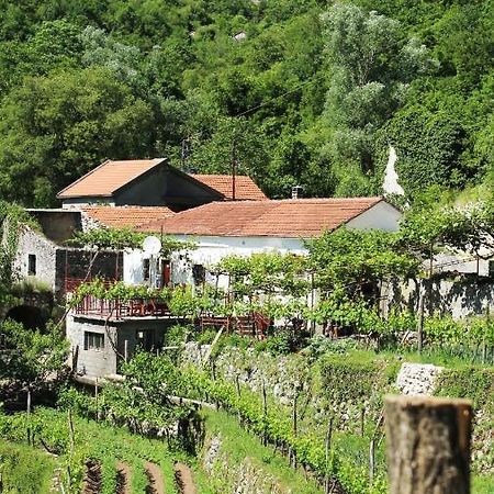Country House Dajkovic Dupilo 외부 사진